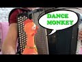 Tones and I - DANCE MONKEY | Chicken and Accordion Cover