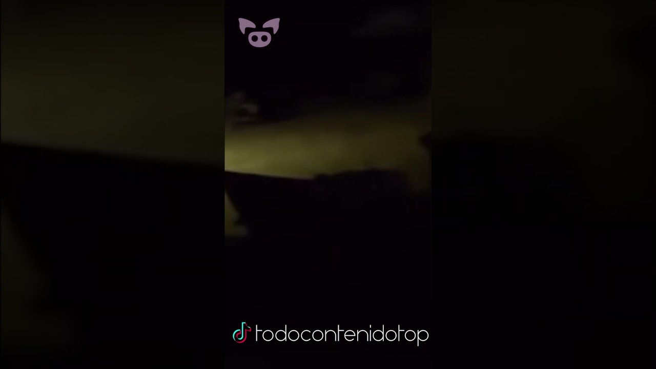 Cryptid Caught in Backyard. 😱 