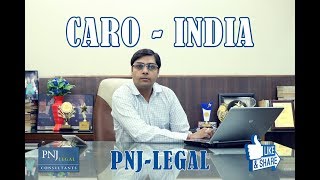 CARO consultant | CARO report preparation services