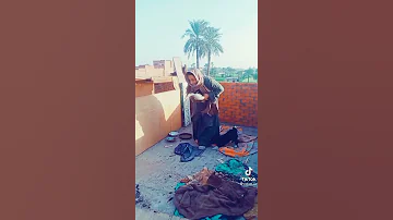 يا اهالي البلد قي دكر بط ضايع 