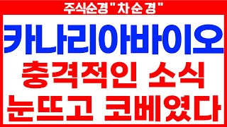 [카나리아바이오 주가분석] 필수시청) 하락의 신호는 분명히 있었다 손실금액 돌려받으실분은 무조건 확인하셔야합니다 #카나리아바이오목표가 #카나리아바이오분석  #카나리아바이오