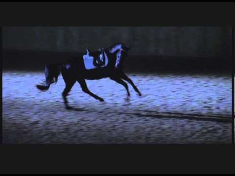 The Equestrian Trailer - Layke Anderson, James Wilby, Carl Hester