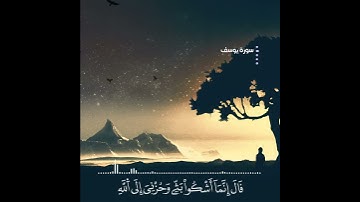 علمتني سورة يوسف أن الجبر الإلهي اذا تأخر لايأتي عادياً ابـداً❤️