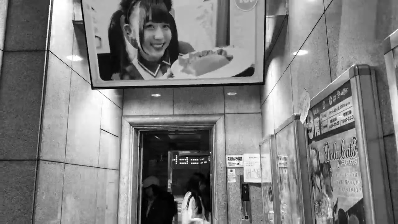 Late Night Shinagawa