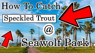 How to Catch Speckled Trout at Seawolf Park | What Set-up to Use to Catch Trout for Beginners
