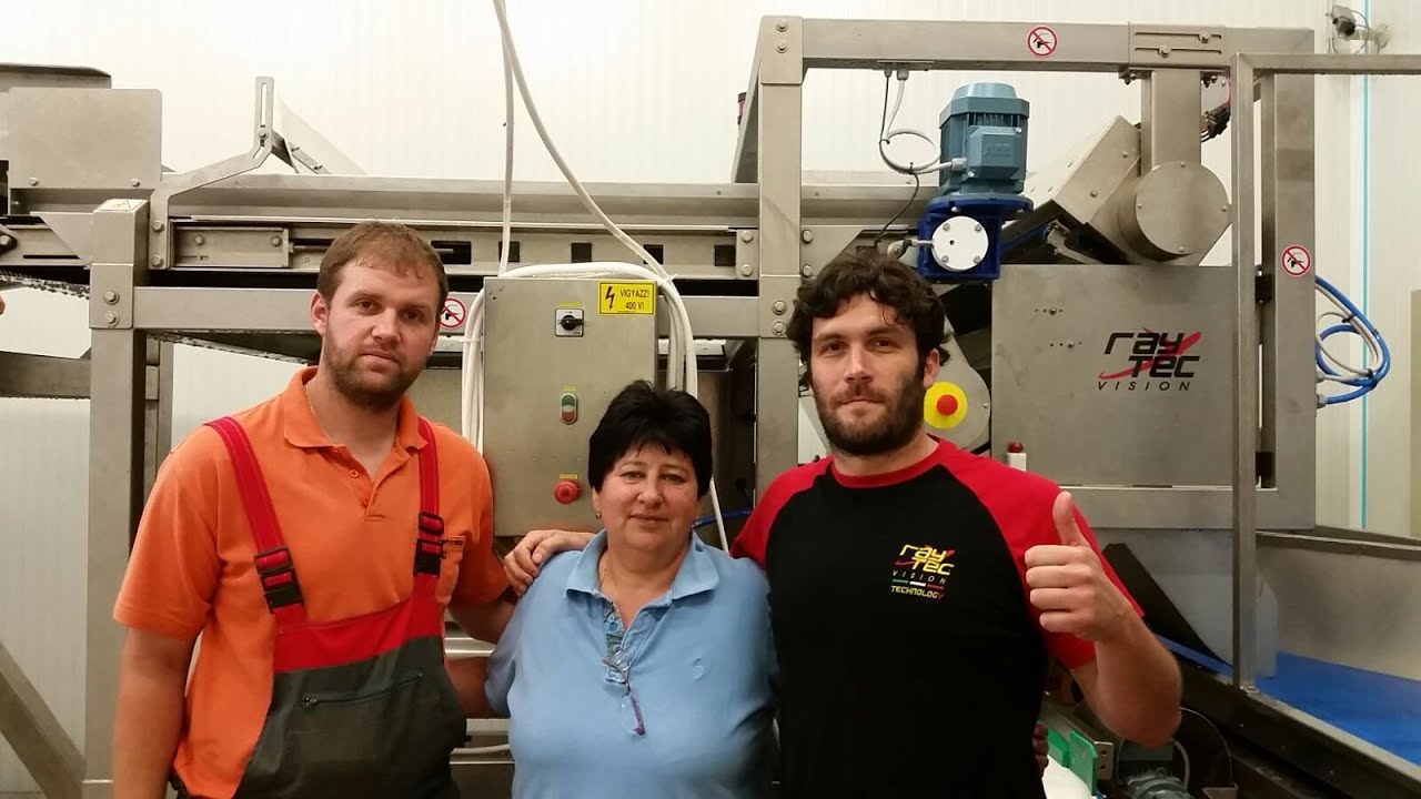 Cherry Sorting Raytec Hungary