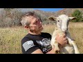 Why Rotational Grazing