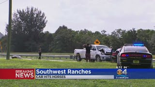 Two Horses Killed, Riders Hospitalized After Being Hit By Car In Southwest Ranches