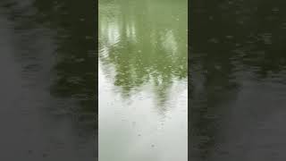5 September 2025