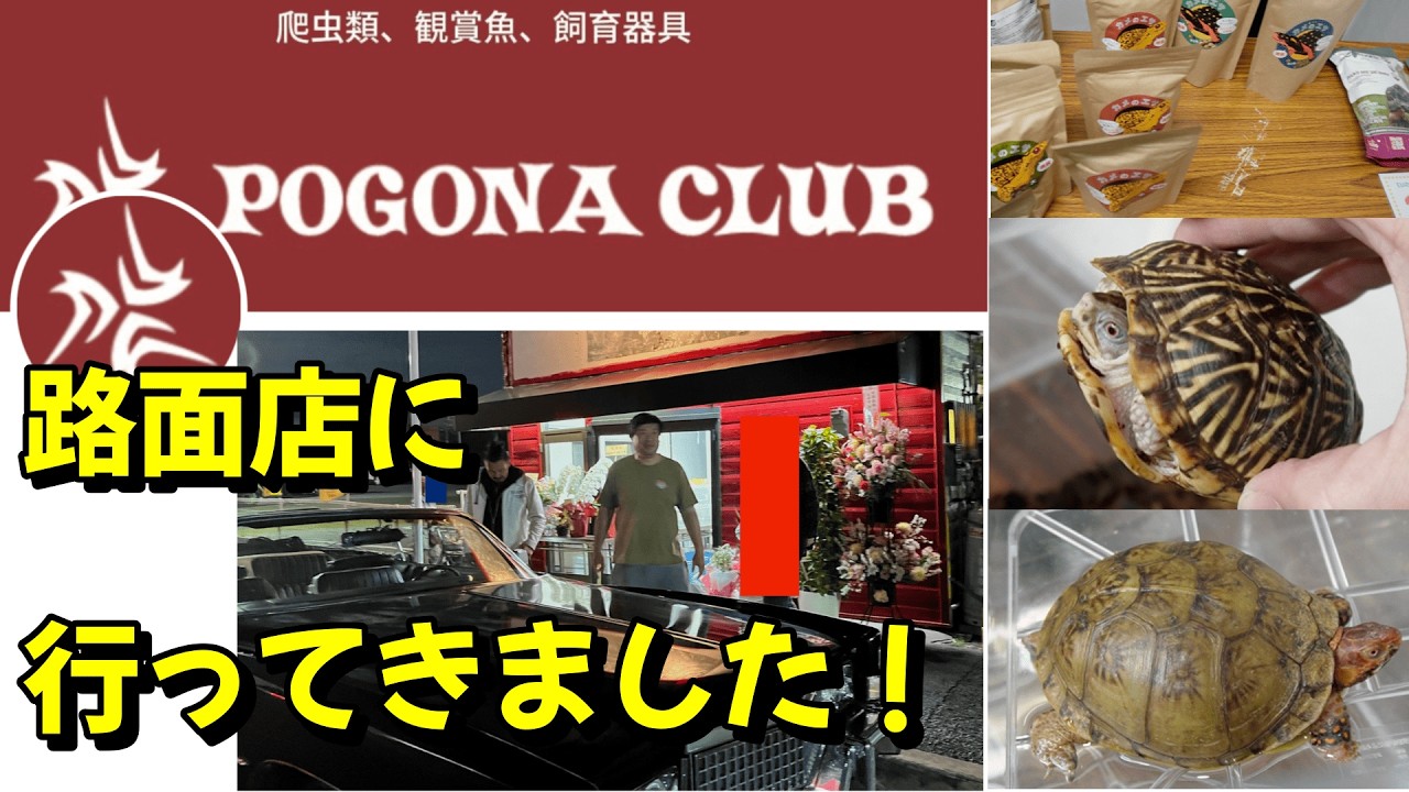 祝開店！ポゴナクラブ路面店へ行ってきました♪