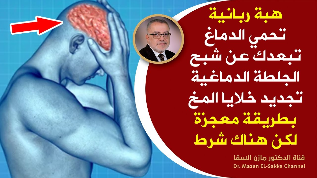انظركيف يؤثرالطعام الذي تتناوله على دماغك هبات عظيمة تُحيي خلايا الدماغ تمدالمخ بالطاقة تجدد الخلايا