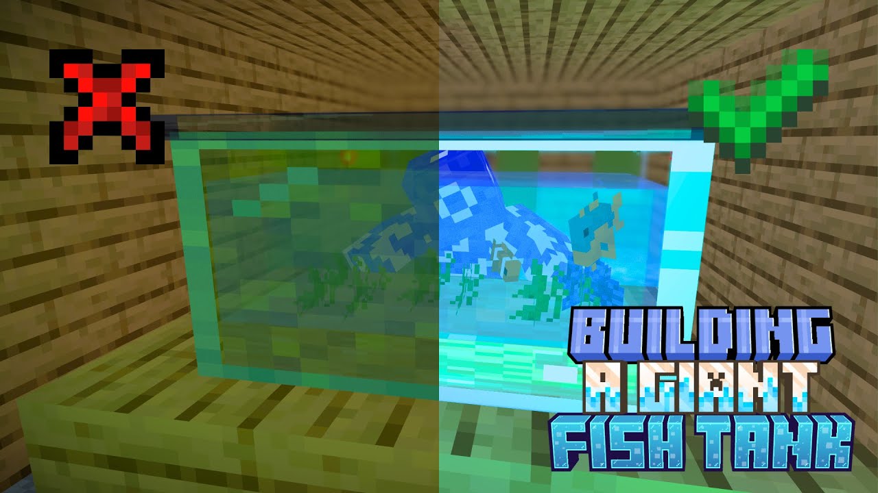 Building A Giant Fishtank!