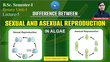Lecture-5 Asexual and Sexual Reproduction in Algae | B.Sc. Semester-1 Botany Unit-1 #bsc #botany