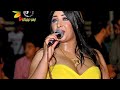 لحظه وصول قسمه واستقبال من الدو وكريم ناعوس فرحه هرم مصر ابراهيم ابو عبده افراح محرم زهران