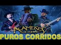 Los Alameños De La Sierra 🎶 Mix 2025 – Puros Corridos