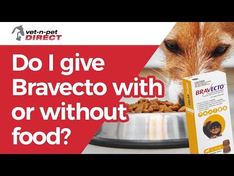 Can I give Bravecto with or without food?