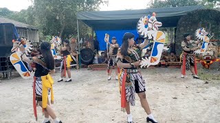 TARIAN GERAPAN PONOROGO VERSI PENJHATIL ASAHAN JARKEP MAWAR SARI LIVE SHOW BUNUT FIKTORY