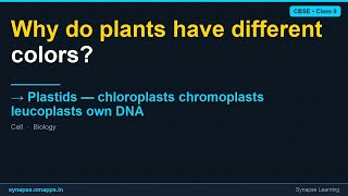 Plastids — chloroplasts chromoplasts leucoplasts own DNA | CBSE Class 9 Biology | Synapse