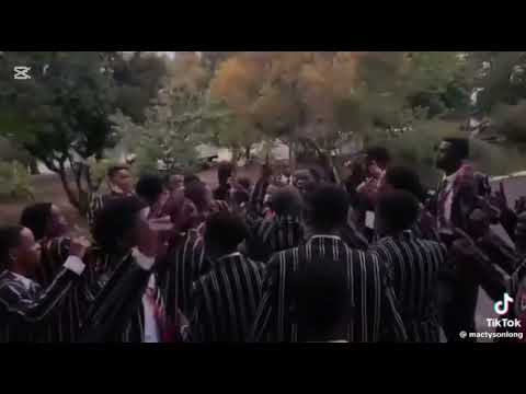 Aibo halala gwijo #gwijosongs #gwijo #amagwijo #gwijosongs #gwijoliyaphilisa #gwijowave 