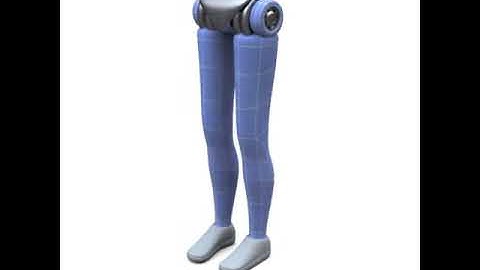 Cheetah 3D-Advanced Leg Control