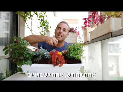 וִידֵאוֹ: גינון עם אדניות אנכיות - איך ליצור גינה אנכית בארגונית נעליים