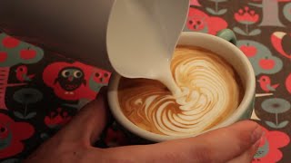 Coffeefusion Tutorials - The Rosetta Examined