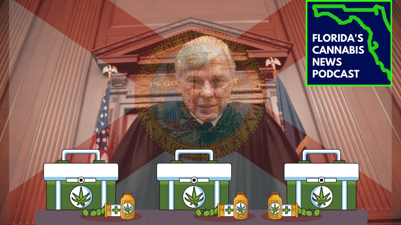 Florida Supreme Court Hears Arguments to Decide Florida's Medical ...