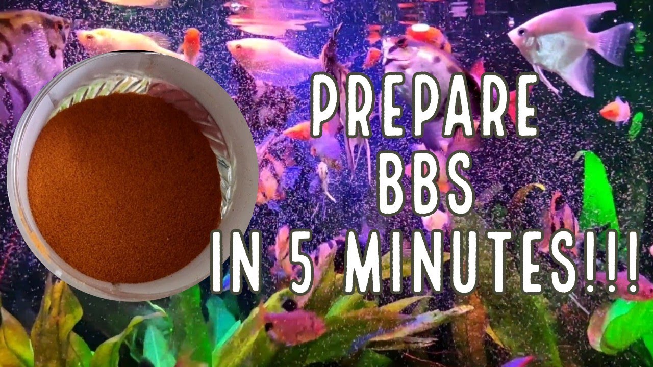 How to Prepare BBS in 5minutes!!!