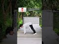 The oldest Taoist culture. The most authentic Wudang Tai Chi. #TaiChi #WudangTaiChi #TaoistCulture