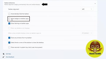 How to Disable App Badge Notification in Taskbar on Windows 11