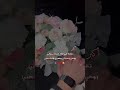 طل وجه القمر ستوريات حب ساريه السواس وقصي خولي