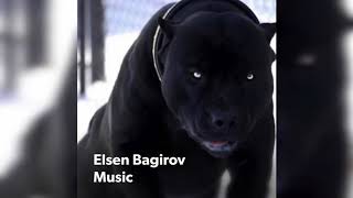 Elsen Bagirov music Abu Dabi