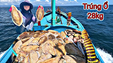 Liều Mình Lặn Xuống Độ Sâu 20 Mét Gặp Mực Nang Nằm Rất Nhiều Ở Điểm Trà | P 778