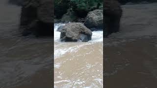 #fishing #airnya #mancing #pemandangansungai #mancingmania #ikan