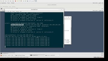 OPS235 Lab 6 -- Networking