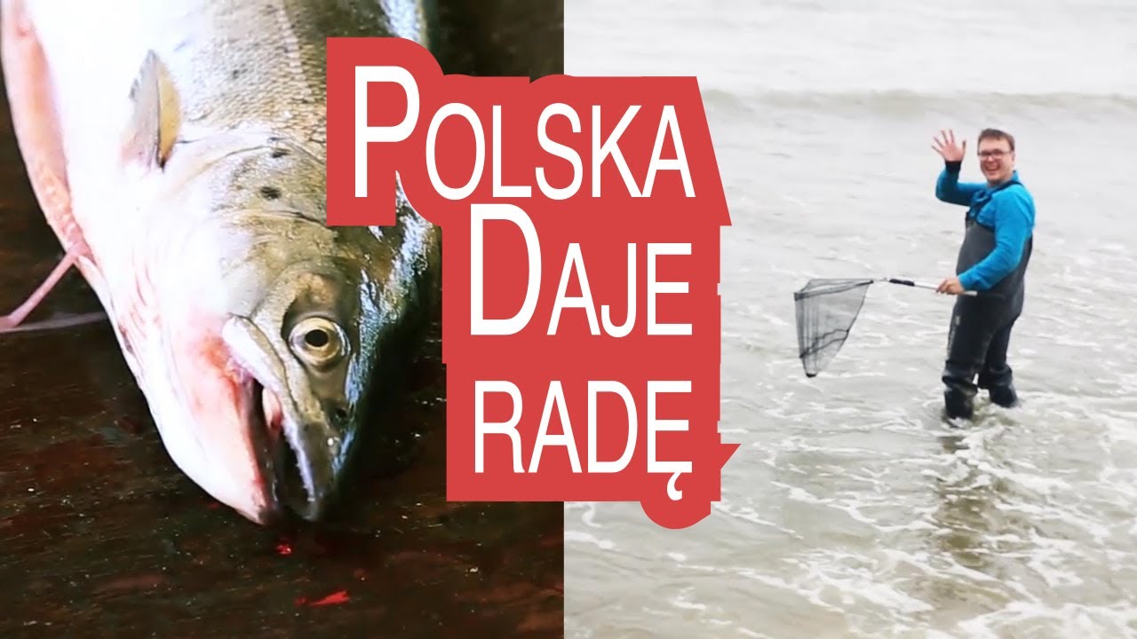 Polska Daje Radę - Pomorze! [Rybacy, krewetki, bursztyny i foki!] gdański bowke