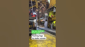 We can smell the fresh wood from here… 🤩🪵 #Veneer #Wood #WoodProducts #Manufacturing #Lathe