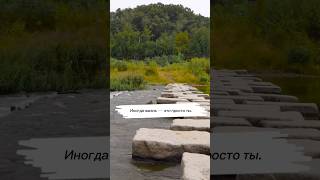 Когда ты — камень на пути других #юмор #абсурдныйюмор #svway
