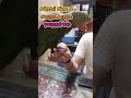Mirchi Kha K Maza Agya Parrot Ko #birdlovers #shorts