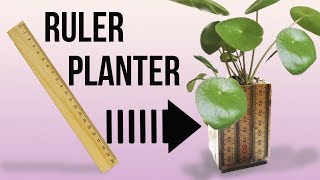 Ruler planter - EASY Back To School DIY