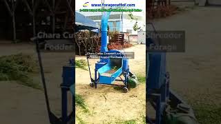 Chara Cutter Coconut Leaf Shredder Fodder Chopper For Farm Forage