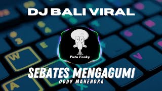 DJ SEBATAS MENGAGUMI - ODDY MAHENDRA REMIX ANGKLUNG TERBARU