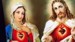 Celebrity Daily Consecration to the Sacred Heart of Jesus and Immaculate Heart of Mary. Pray for us! Net Worth
