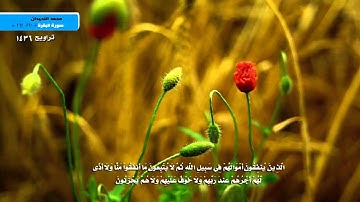 أروع التلاوات -  محمد اللحيدان -  تراويح 1436  ( مَّثَلُ الَّذِينَ يُنفِقُونَ أَمْوَالَهُمْ)