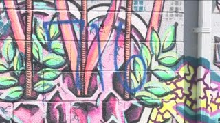 Hertel Art Alley In Buffalo Vandalized