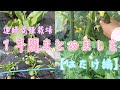 【家庭菜園】26種類37品目　連続混植栽培1年分まとめました。はたけ編【まとめ】