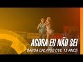 Banda Calypso - Agora eu não sei (DVD 15 Anos Ao Vivo em Belém - Oficial)