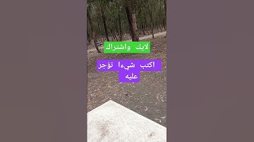 تلاوة ماشاء الله تبارك الرحمان تابع وانشر تؤجر #explore