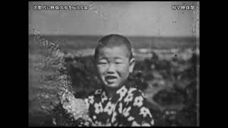 グライダー、伊豆のアンコなど