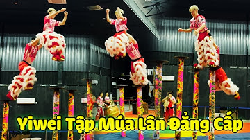 Múa Lân Hay Nhất Thế Giới 2025 đoàn LSR Yi Wei tập Lân nhảy Mai Hoa Thung tại Giải LSR Penang